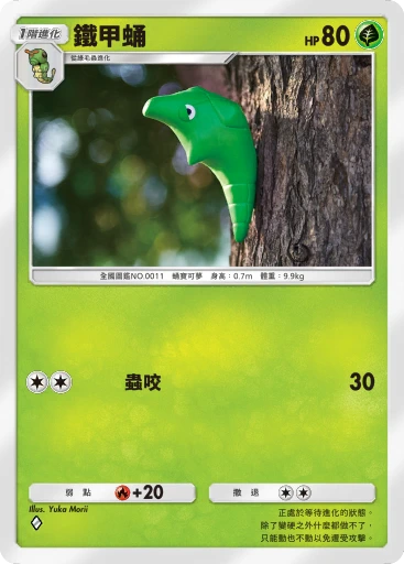 鐵甲蛹