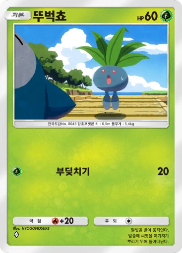 뚜벅쵸