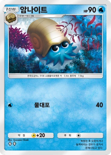 암나이트