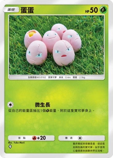 蛋蛋