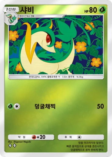 샤비