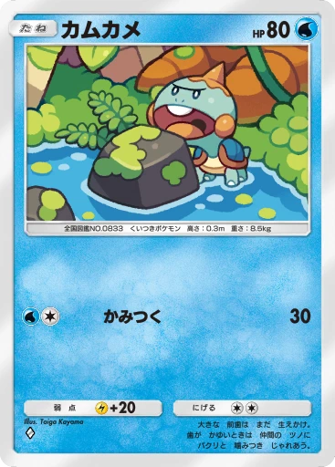 カムカメ