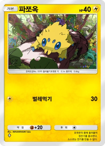 파쪼옥