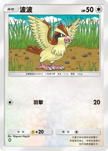 波波
