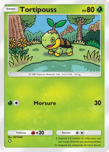 Tortipouss