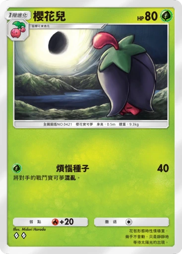 櫻花兒