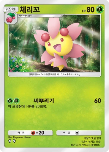 체리꼬