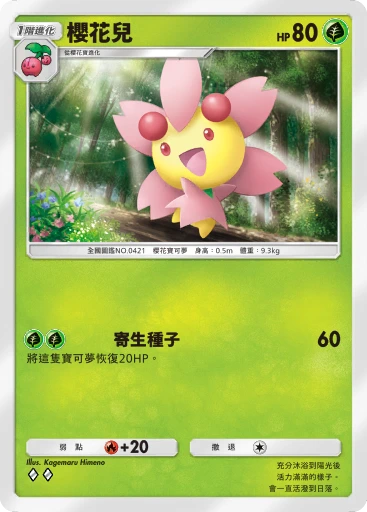 櫻花兒