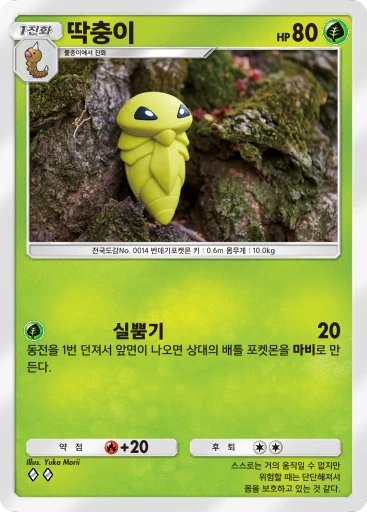 딱충이