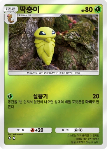 딱충이