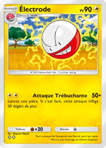 Électrode