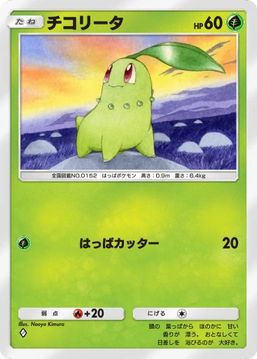 チコリータ