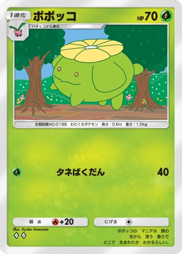 ポポッコ