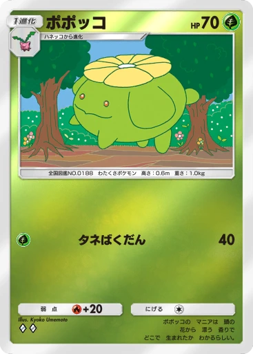 ポポッコ