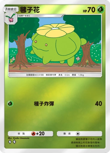 毽子花