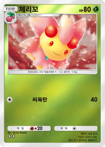 체리꼬