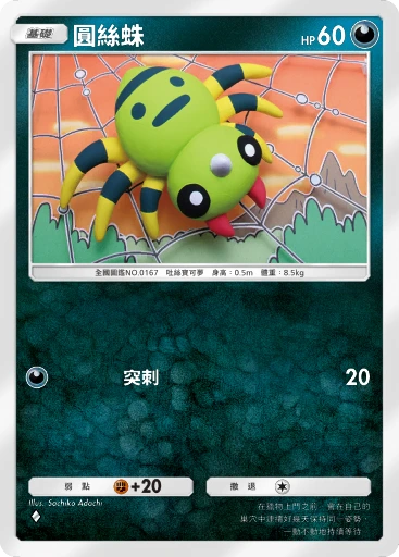 圓絲蛛