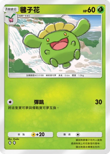 毽子花