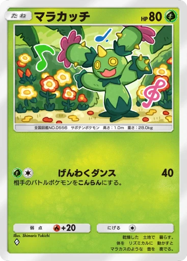 マラカッチ