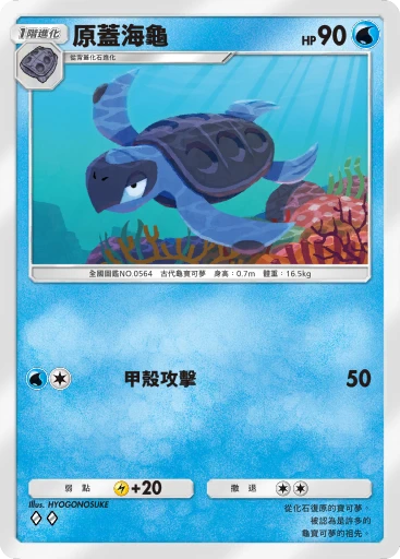 原蓋海龜