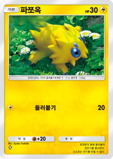파쪼옥