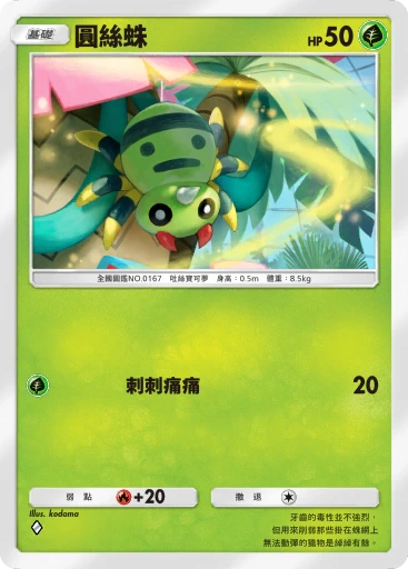 圓絲蛛