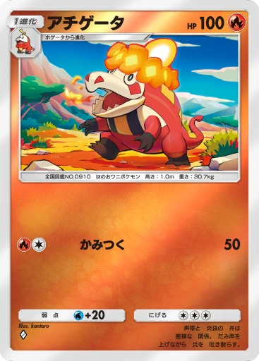 アチゲータ