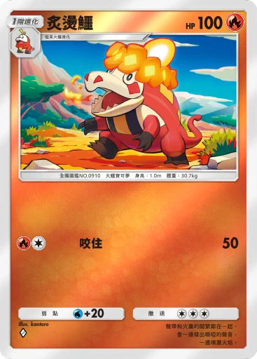 炙燙鱷