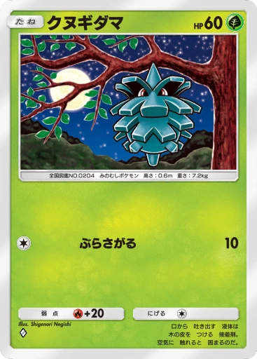 クヌギダマ