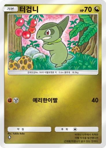 터검니