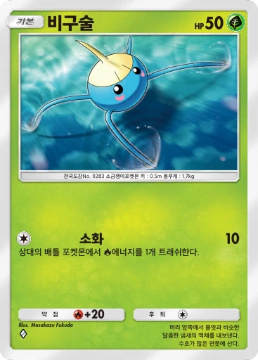 비구술