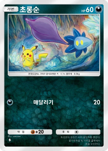 초롱순