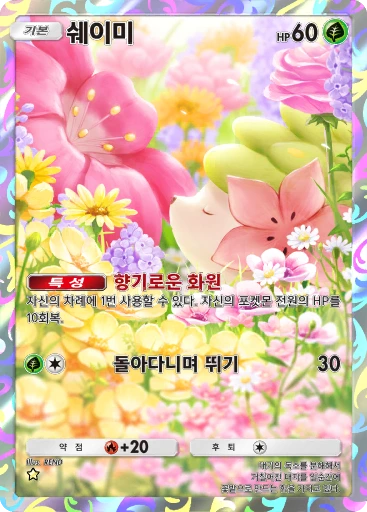 쉐이미