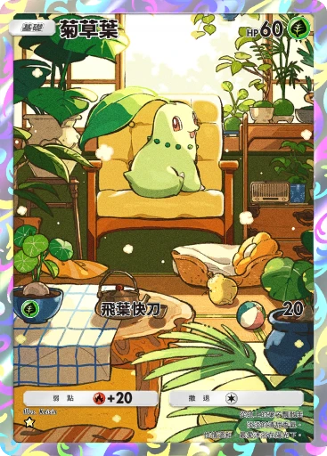 菊草葉