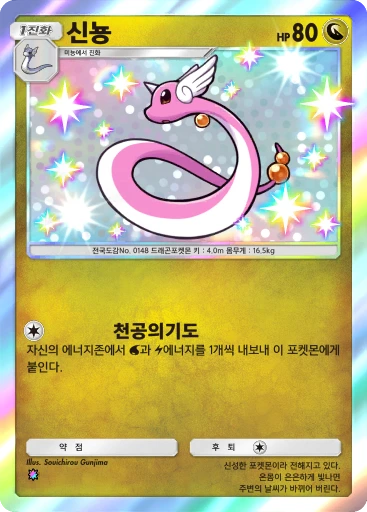 신뇽