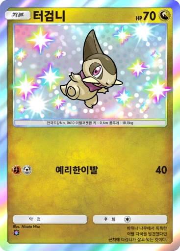 터검니