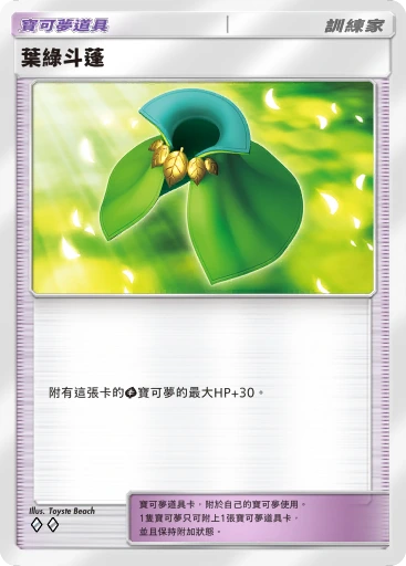 葉綠斗蓬