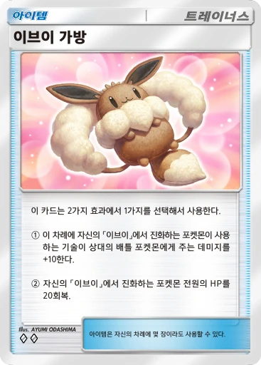 이브이 가방