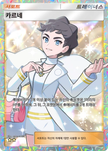 카르네
